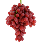 Crimson Seedless